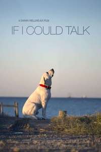 If I Could Talk - Poster