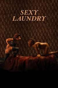 Sexy Laundry - Poster