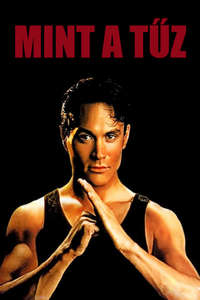 Rapid Fire - Poster