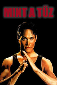 Rapid Fire - Poster