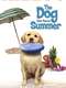 The Dog Who Saved Summer