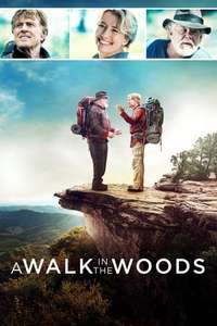 A Walk in the Woods - Poster