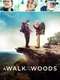 A Walk in the Woods