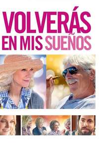 I'll See You in My Dreams - Poster