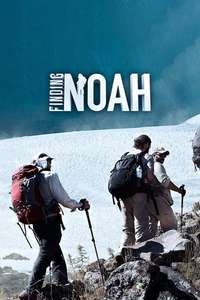 Finding Noah - Poster
