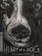 Heart of a Dog