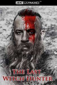 The Last Witch Hunter - Poster