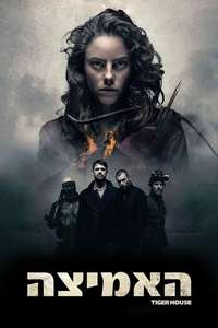 Tiger House - Poster