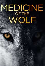Medicine of the Wolf