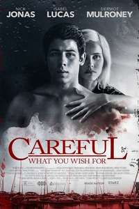 Careful What You Wish For - Poster