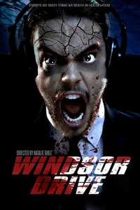 Windsor Drive - Poster