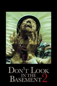 Don't Look in the Basement 2 - Poster