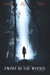 Awake In The Woods - Poster