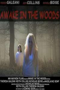 Awake In The Woods - Poster