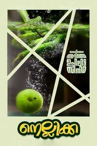 Nellikka - Poster