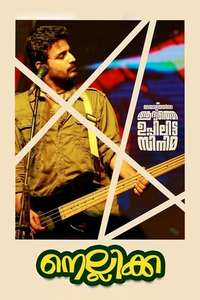 Nellikka - Poster