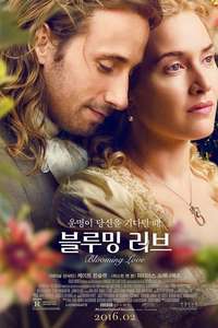 A Little Chaos - Poster