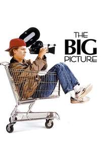 The Big Picture - Poster