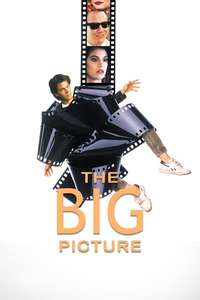 The Big Picture - Poster