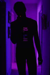Crazy House - Poster