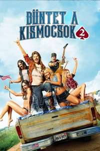 Joe Dirt 2: Beautiful Loser - Poster