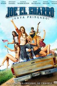 Joe Dirt 2: Beautiful Loser - Poster
