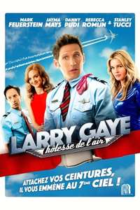 Larry Gaye: Renegade Male Flight Attendant - Poster