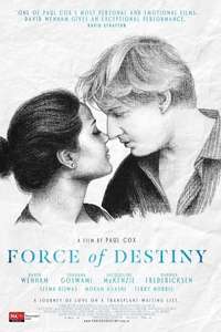 Force of Destiny - Poster
