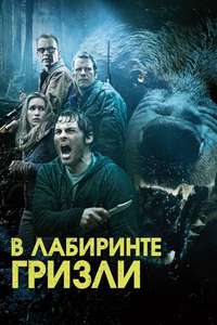 Into the Grizzly Maze - Poster