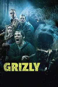 Into the Grizzly Maze - Poster