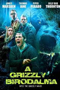 Into the Grizzly Maze - Poster