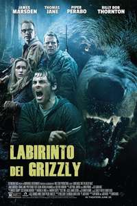 Into the Grizzly Maze - Poster