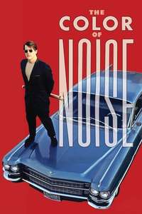 The Color of Noise - Poster