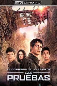 Maze Runner: The Scorch Trials - Posters