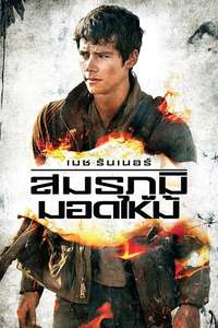 Maze Runner: The Scorch Trials - Posters