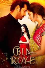 Bin Roye