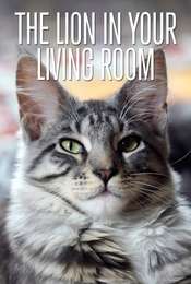 The Lion In Your Living Room