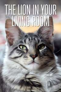 The Lion In Your Living Room - Poster