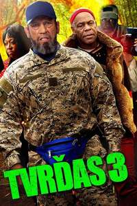 Bad Asses on the Bayou - Poster
