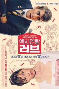 Accidental Love - Poster