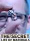 The Secret Life of Materials