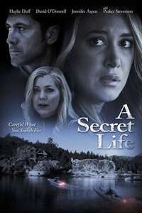 His Secret Family - Poster