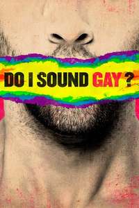Do I Sound Gay? - Poster