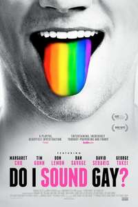 Do I Sound Gay? - Poster