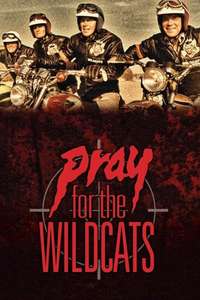 Pray for the Wildcats - Poster