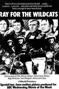 Pray for the Wildcats - Poster