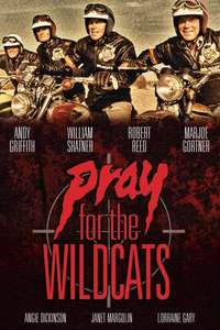 Pray for the Wildcats - Poster