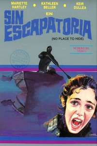 No Place to Hide - Poster