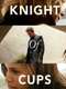 Knight of Cups