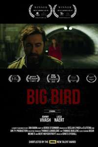 Big Bird - Poster